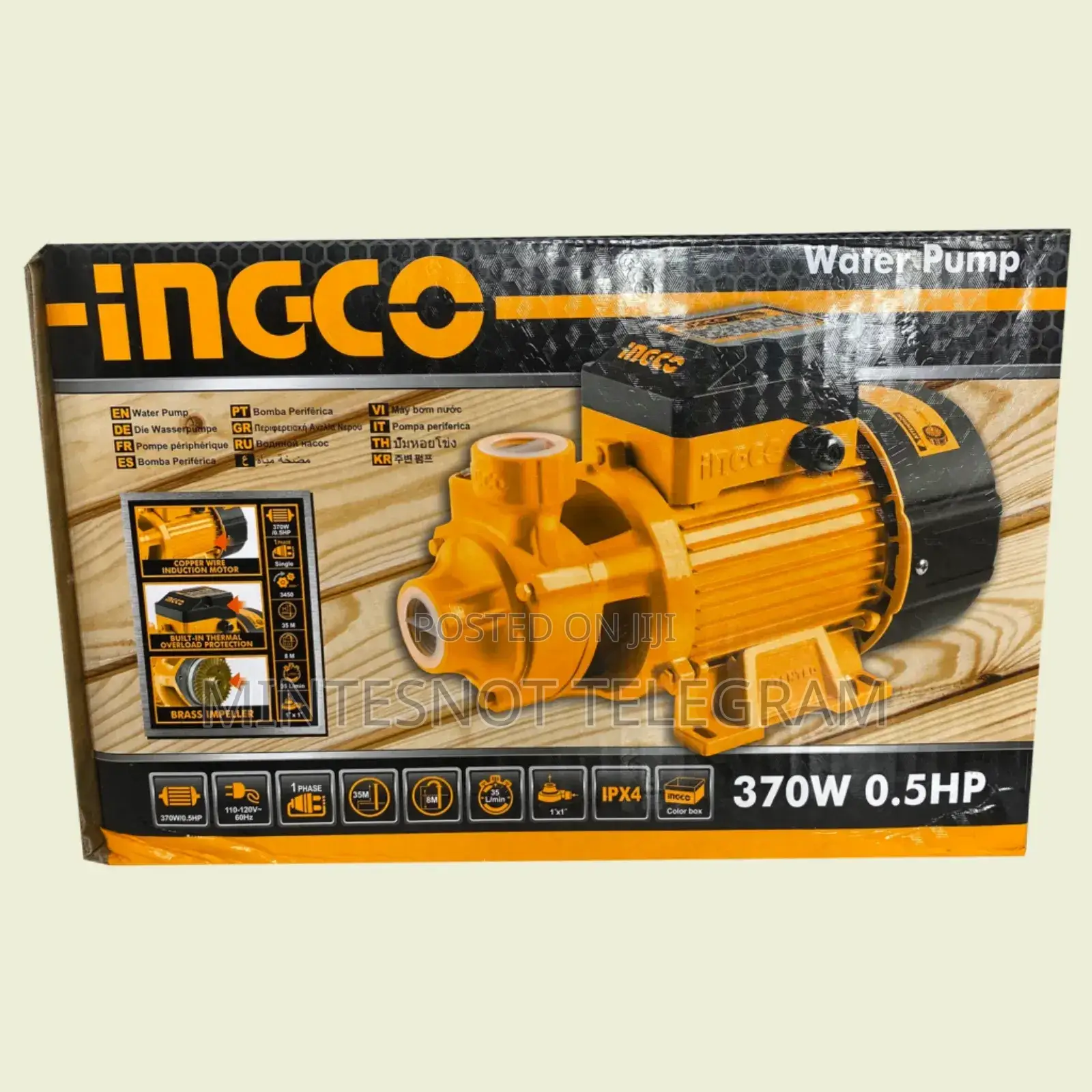 Ingco Water Pump