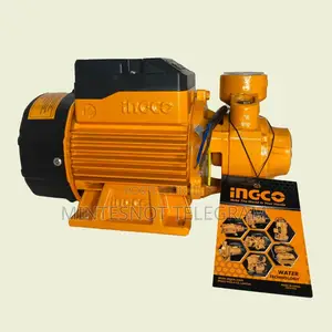 Ingco Water Pump