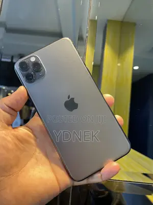 Apple iPhone 11 Pro Max 256 GB Gray