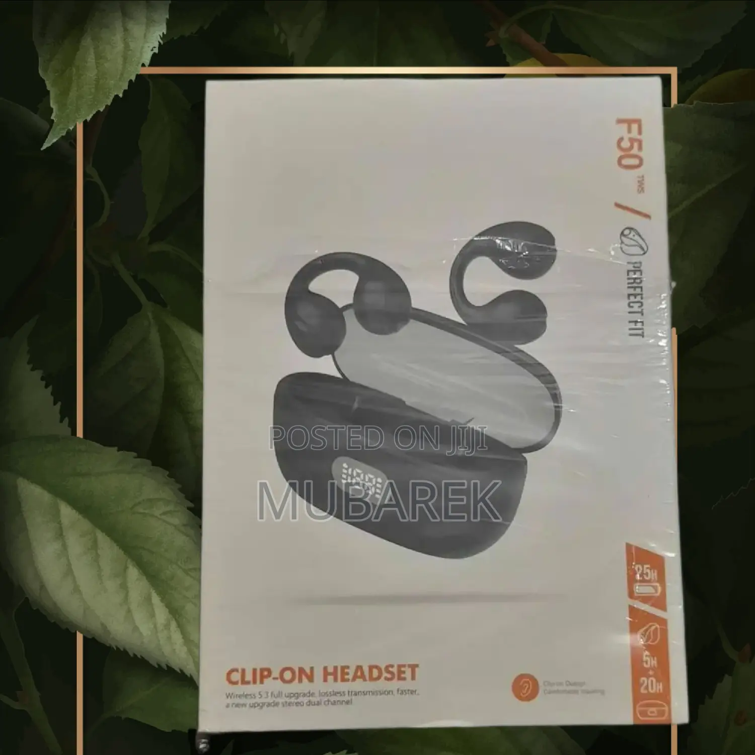 F50 Earhook: Premium Sound, Premium Design