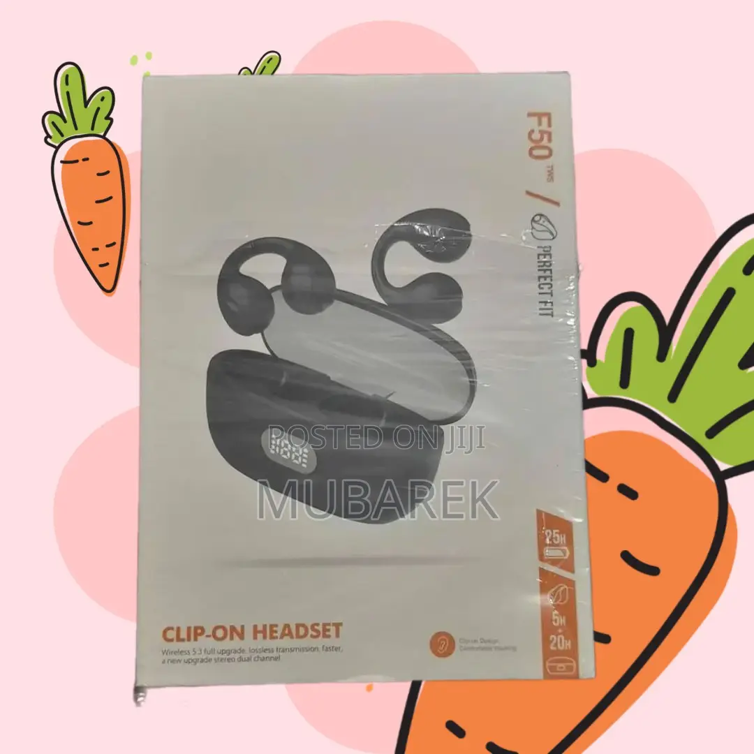 F50 Earhook: Uncompromised Audio Quality, Comfort