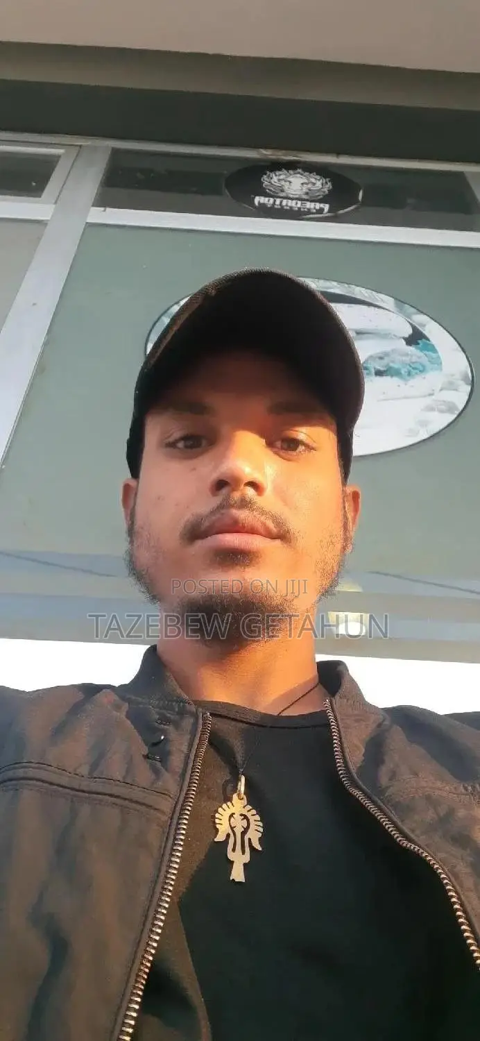 Script Writer, Translotor