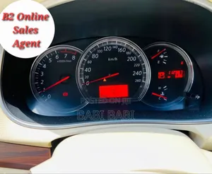 Nissan Teana 2010 Matt Black