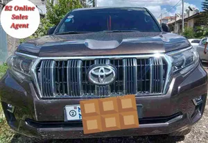 Toyota Land Cruiser Prado 2020 Brown