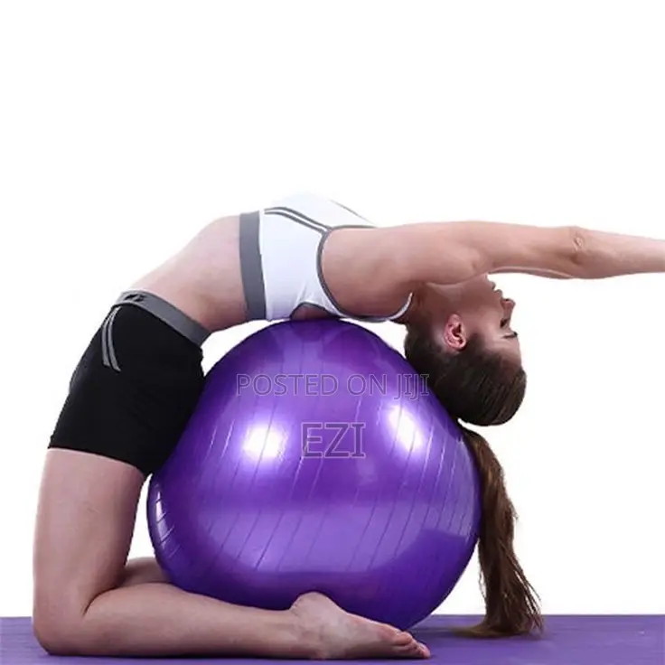 Physiotherapy Balls