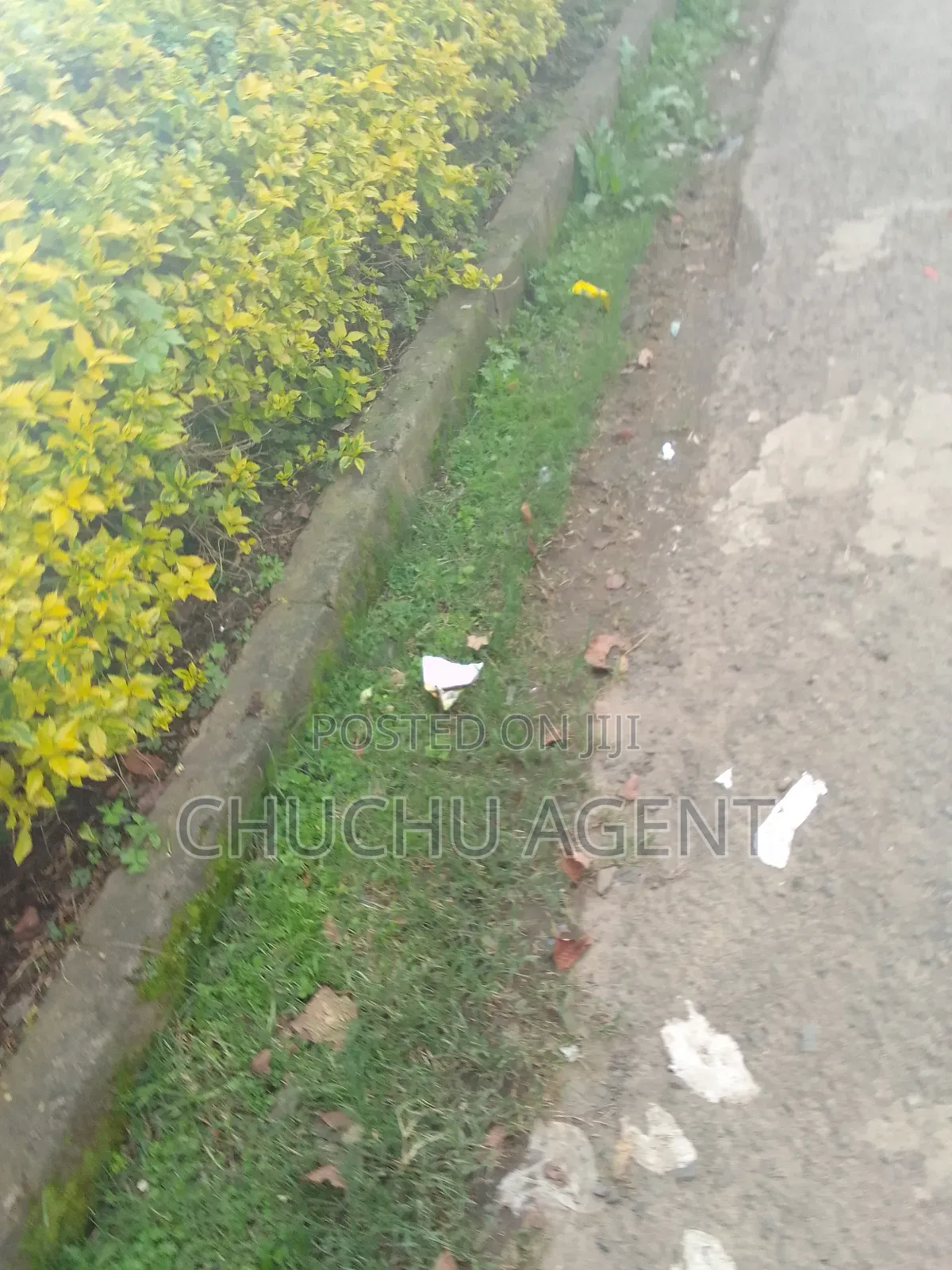 3bdrm Villa in Bole for sale