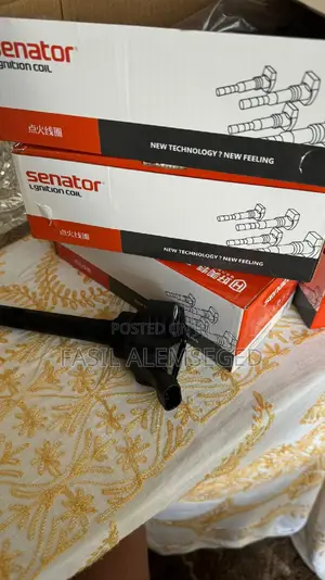 Chevrolet Captiva Ignition Coil