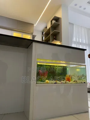 Aquarium and Fishes