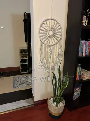 Photo - Plant With Crafts