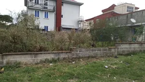 አስቸኳይ የሚሸጥ አያት ቤቶች ሰርቢስ 500 ካሬ ኮምፓውንድ ከሁለት የሚቆረጥ