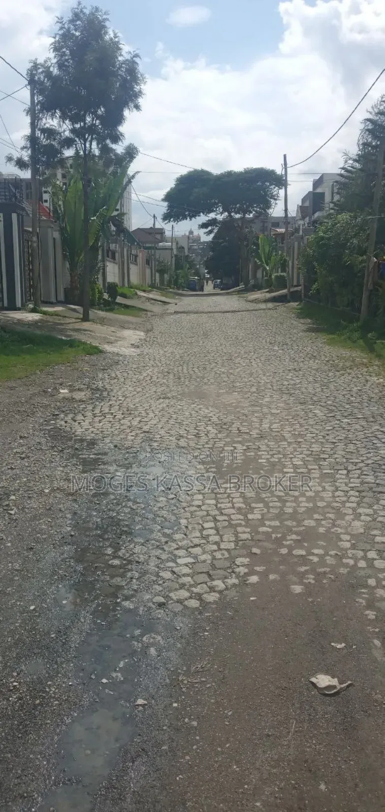 አስቸኳይ የሚሸጥ አያት ቤቶች ሰርቢስ 500 ካሬ ኮምፓውንድ ከሁለት የሚቆረጥ