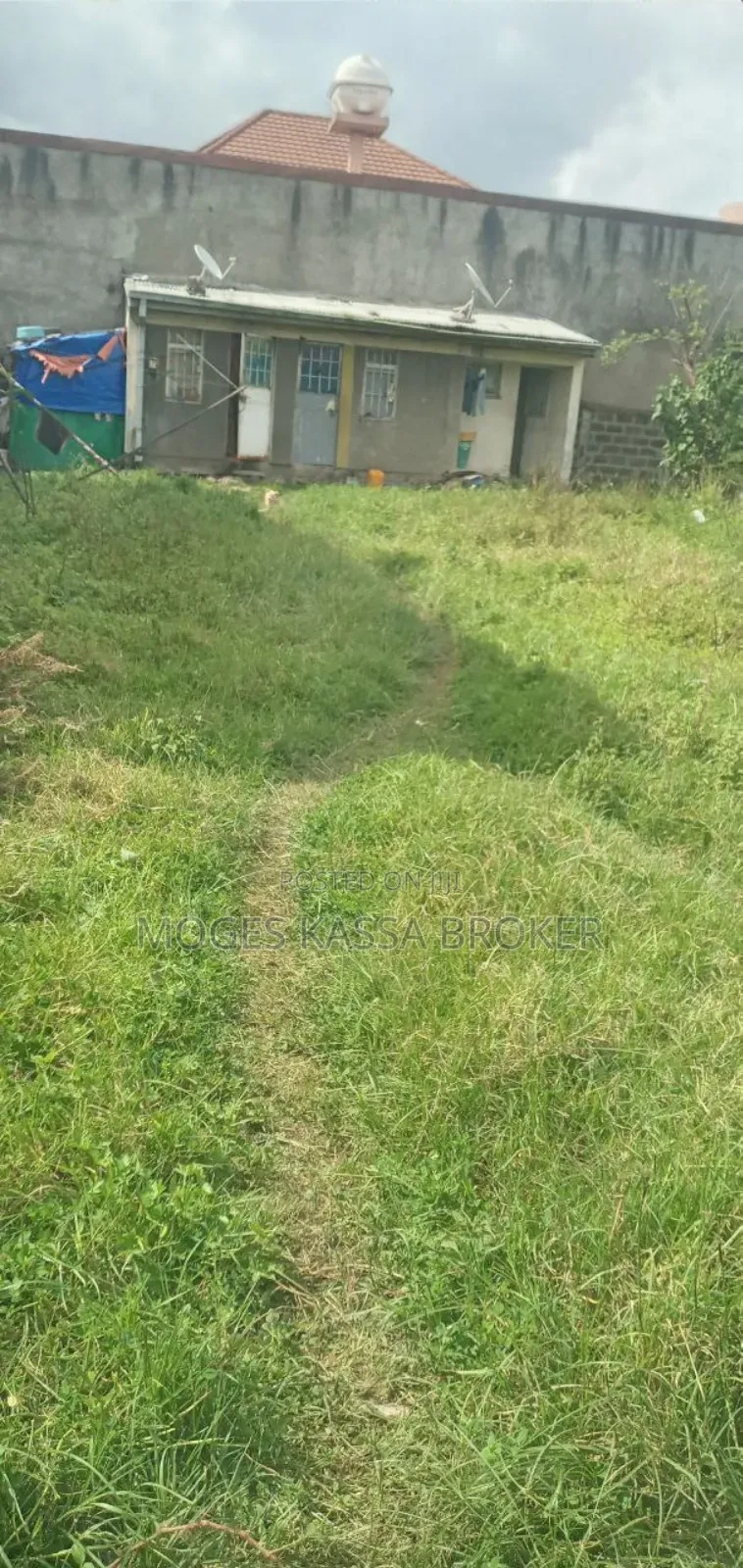 አስቸኳይ የሚሸጥ አያት ቤቶች ሰርቢስ 500 ካሬ ኮምፓውንድ ከሁለት የሚቆረጥ