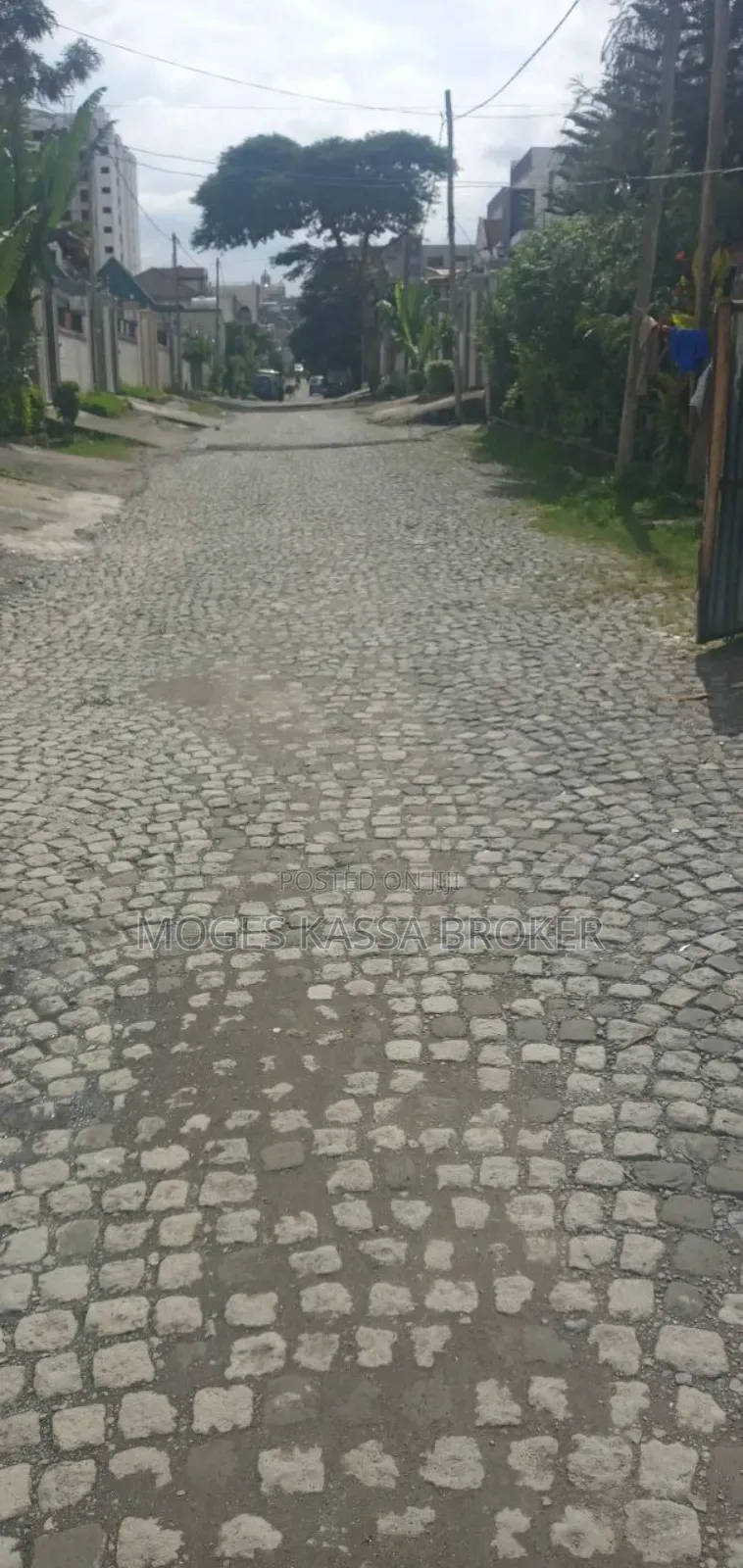 አስቸኳይ የሚሸጥ አያት ቤቶች ሰርቢስ 500 ካሬ ኮምፓውንድ ከሁለት የሚቆረጥ