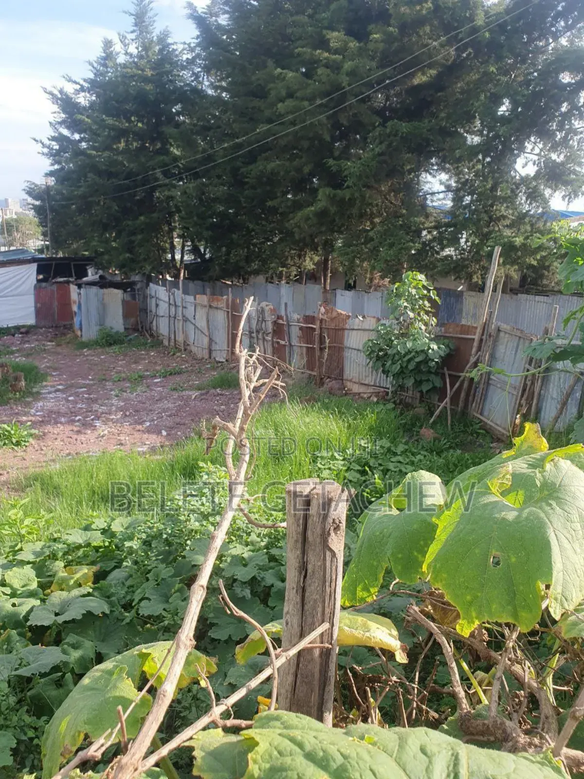 አያት መሪ የሚሸጥ ቦታ 503 ካ.ሜ ድጅታል ካርታ