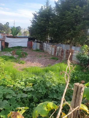 አያት መሪ የሚሸጥ ቦታ 503 ካ.ሜ ድጅታል ካርታ