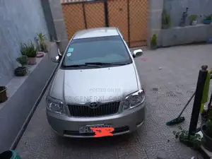 Toyota Corolla 2007 Gray