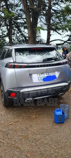 Peugeot 2008 2021 Silver