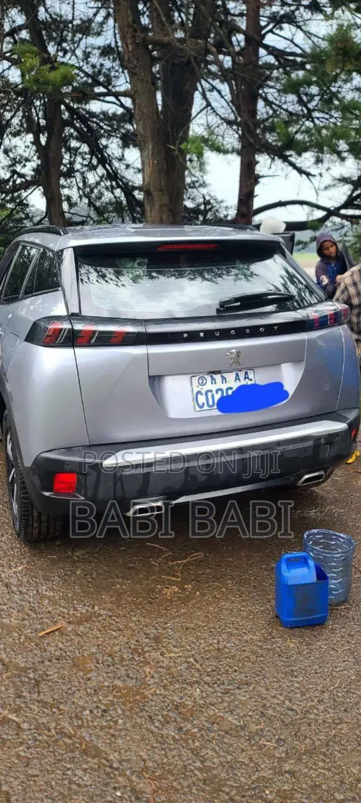 Peugeot 2008 2021 Silver