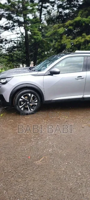 Peugeot 2008 2021 Silver