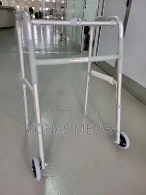 Photo - Patient Walker + Blessing for Those Who Have Mobility Issues