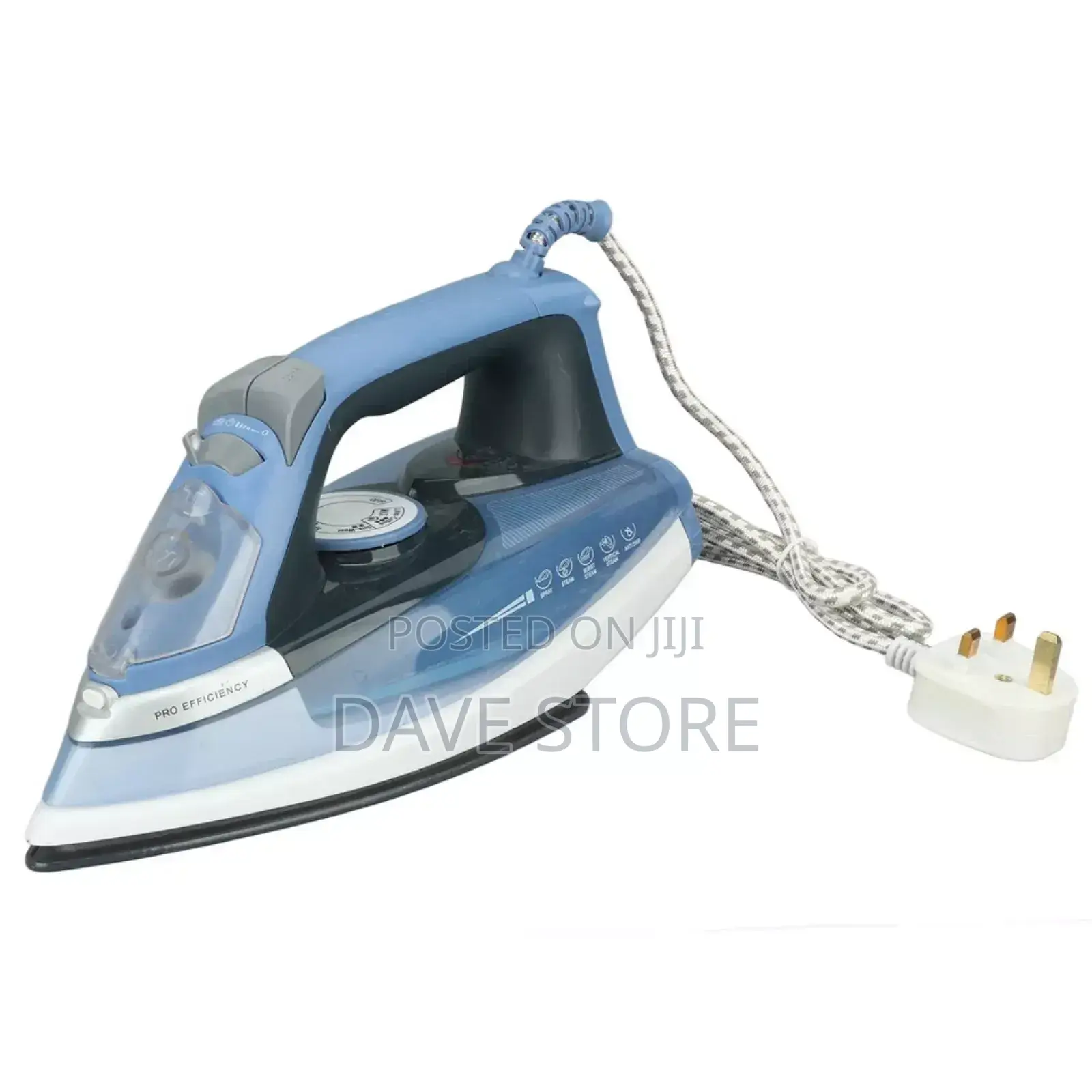 Sanford Steam Iron