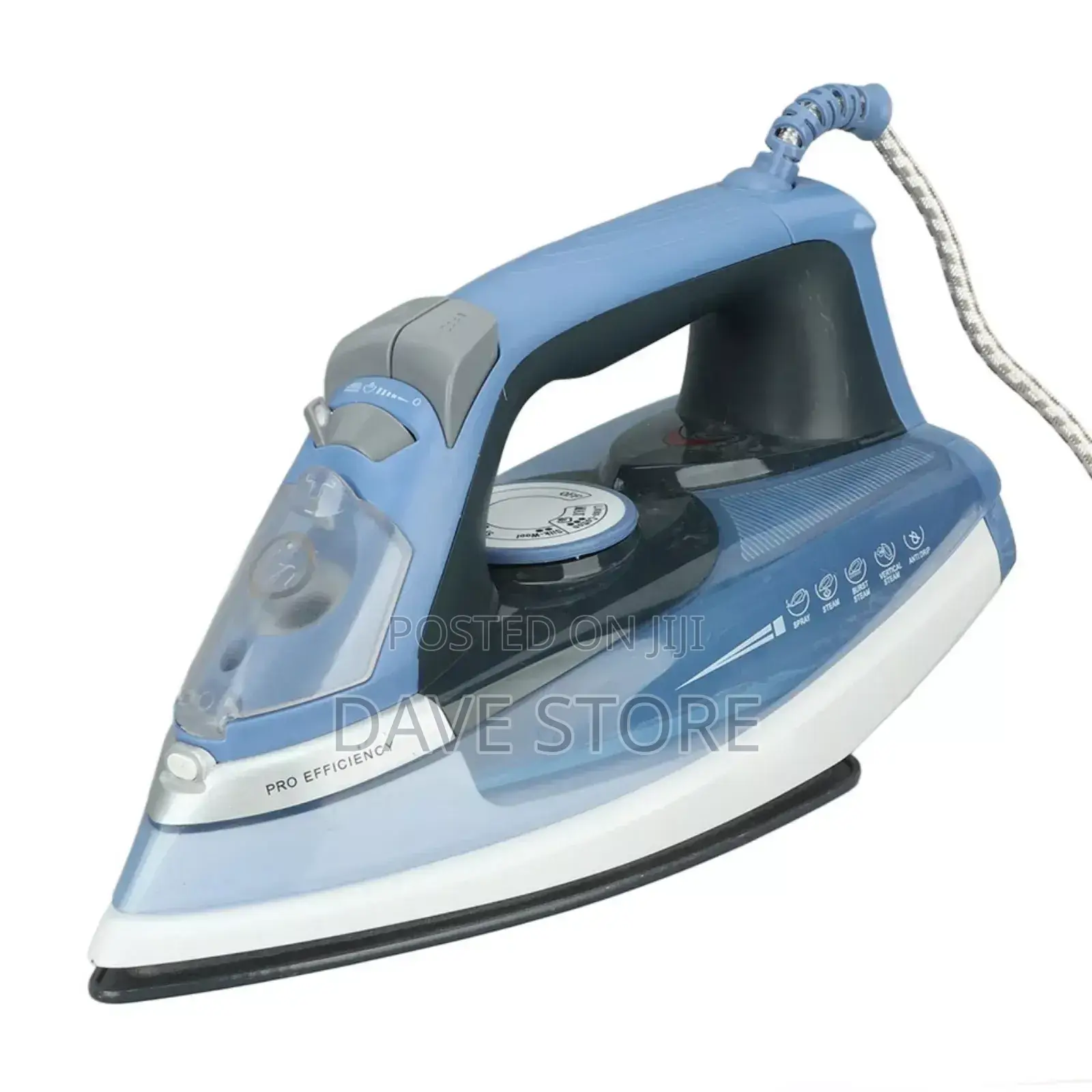 Sanford Steam Iron