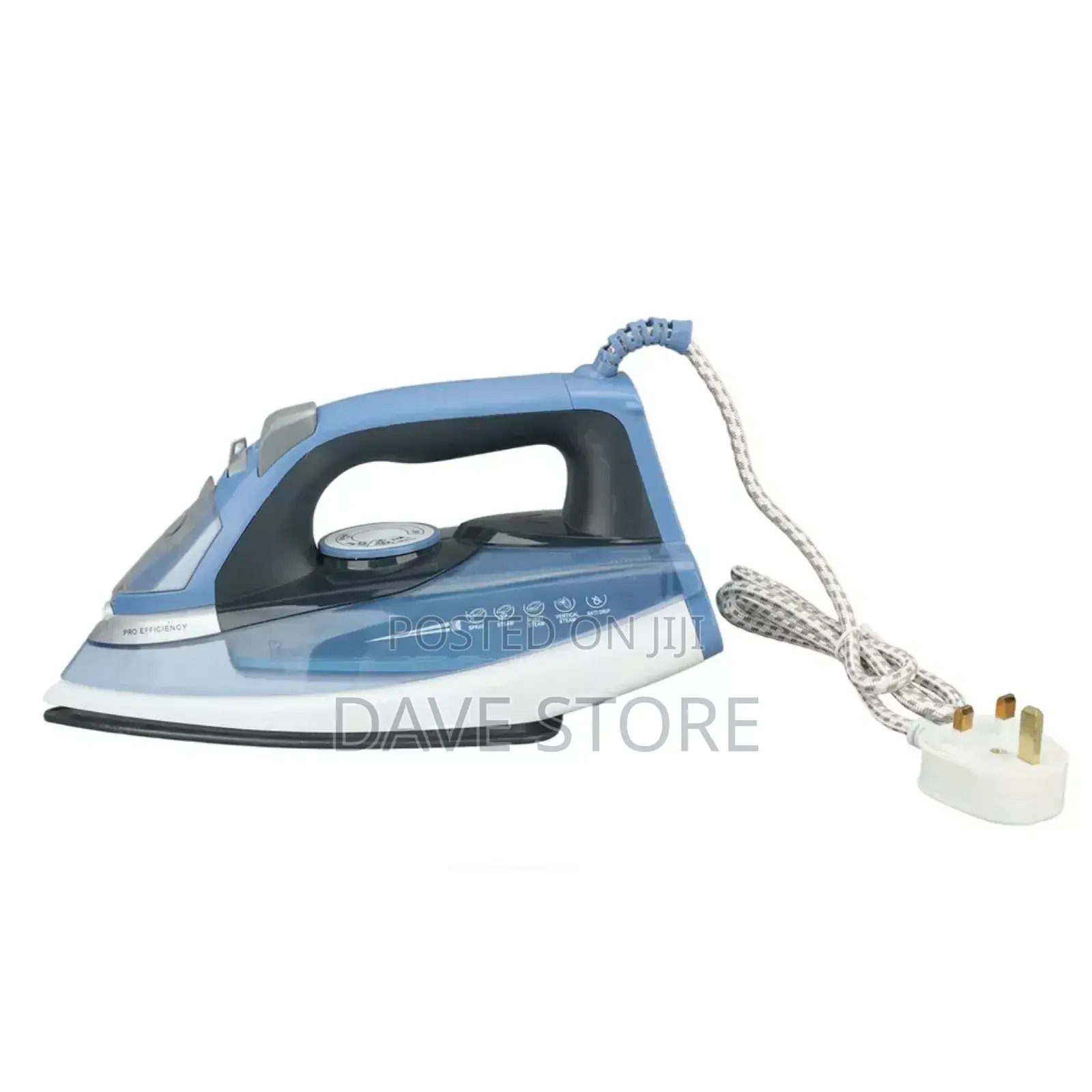 Sanford Steam Iron