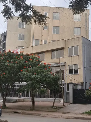 Photo - አስቸኳይ የሚከራይ ህንፃ ለሆስፒታል እና ለቢሮ የሚሆን