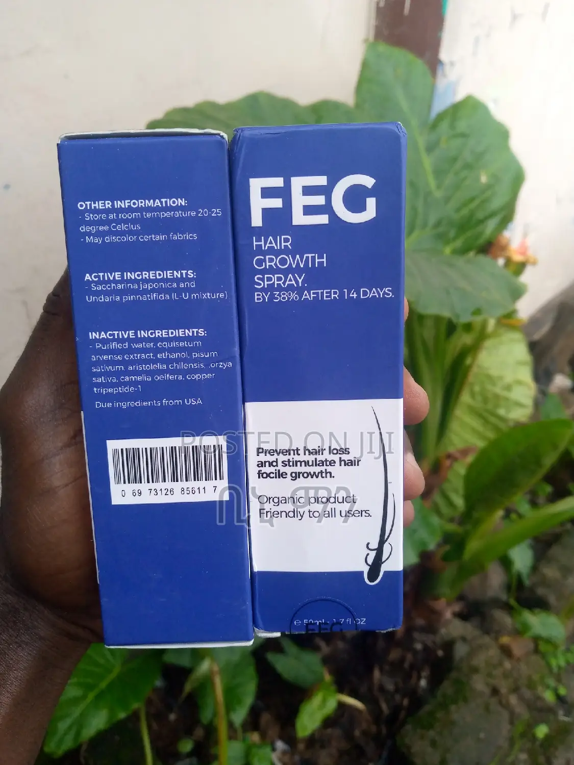 Original Organic Feg Hair Treatment Oil.