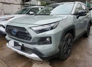 Toyota RAV4 2022 Gray