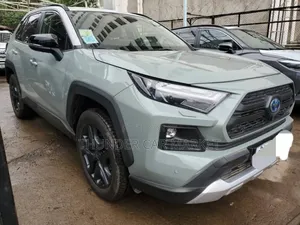 Toyota RAV4 2022 Gray