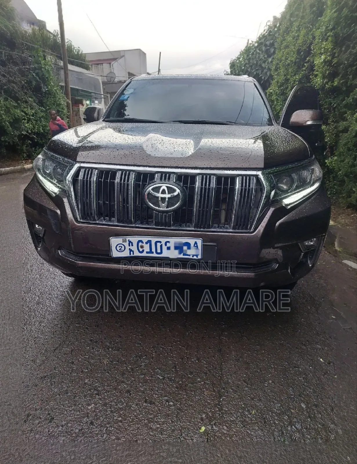 Toyota Land Cruiser 2020 Brown