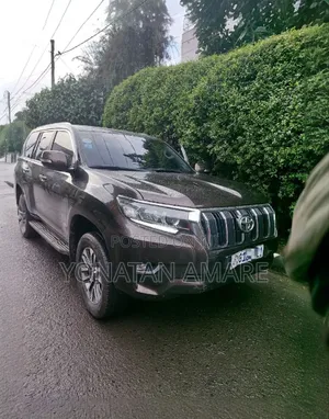 Toyota Land Cruiser 2020 Brown