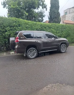 Toyota Land Cruiser 2020 Brown
