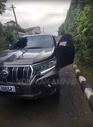 Toyota Land Cruiser 2020 Brown