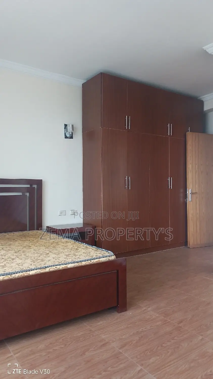 Furnished 3bdrm Apartment in Zema, Bole for rent