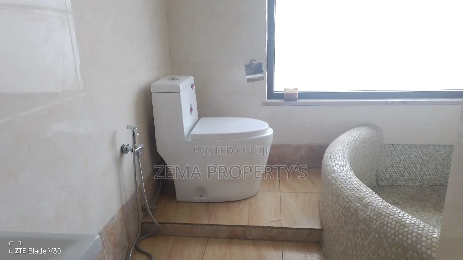 Furnished 3bdrm Apartment in Zema, Bole for rent