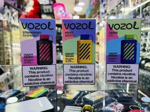 10000puff Vozol Vape