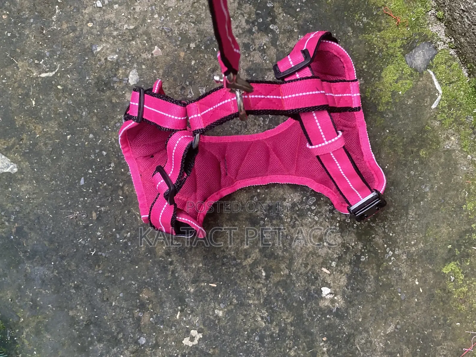 Non Pull Out Door Dog Harness