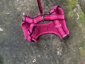 Non Pull Out Door Dog Harness