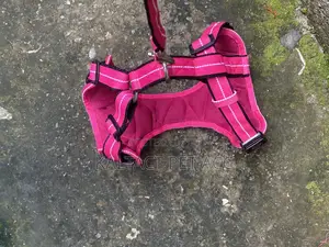 Non Pull Out Door Dog Harness