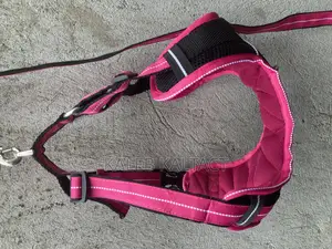 Non Pull Out Door Dog Harness