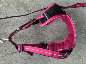 Non Pull Out Door Dog Harness