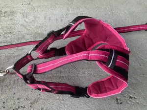 Non Pull Out Door Dog Harness