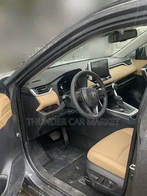New Toyota RAV4 2024 Gray
