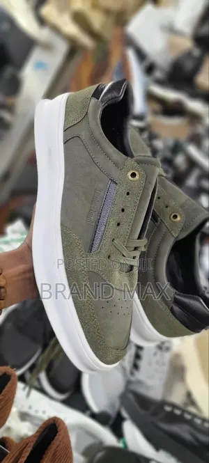 Timberland Premium Quality