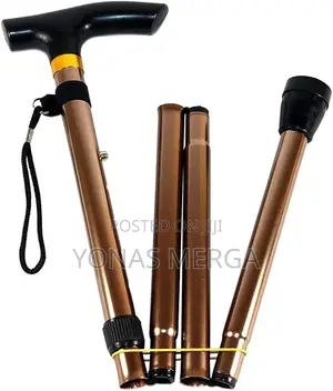 Photo - Walking Stick That Provides Stability to Those Need Support