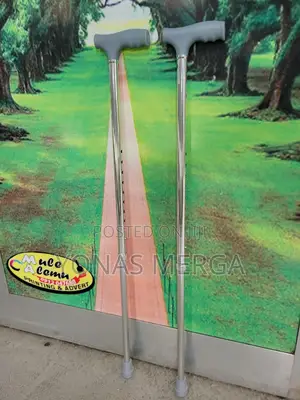 Photo - Single Leg Walking Stick/Detail:Ryder12 Silde Walking Stick