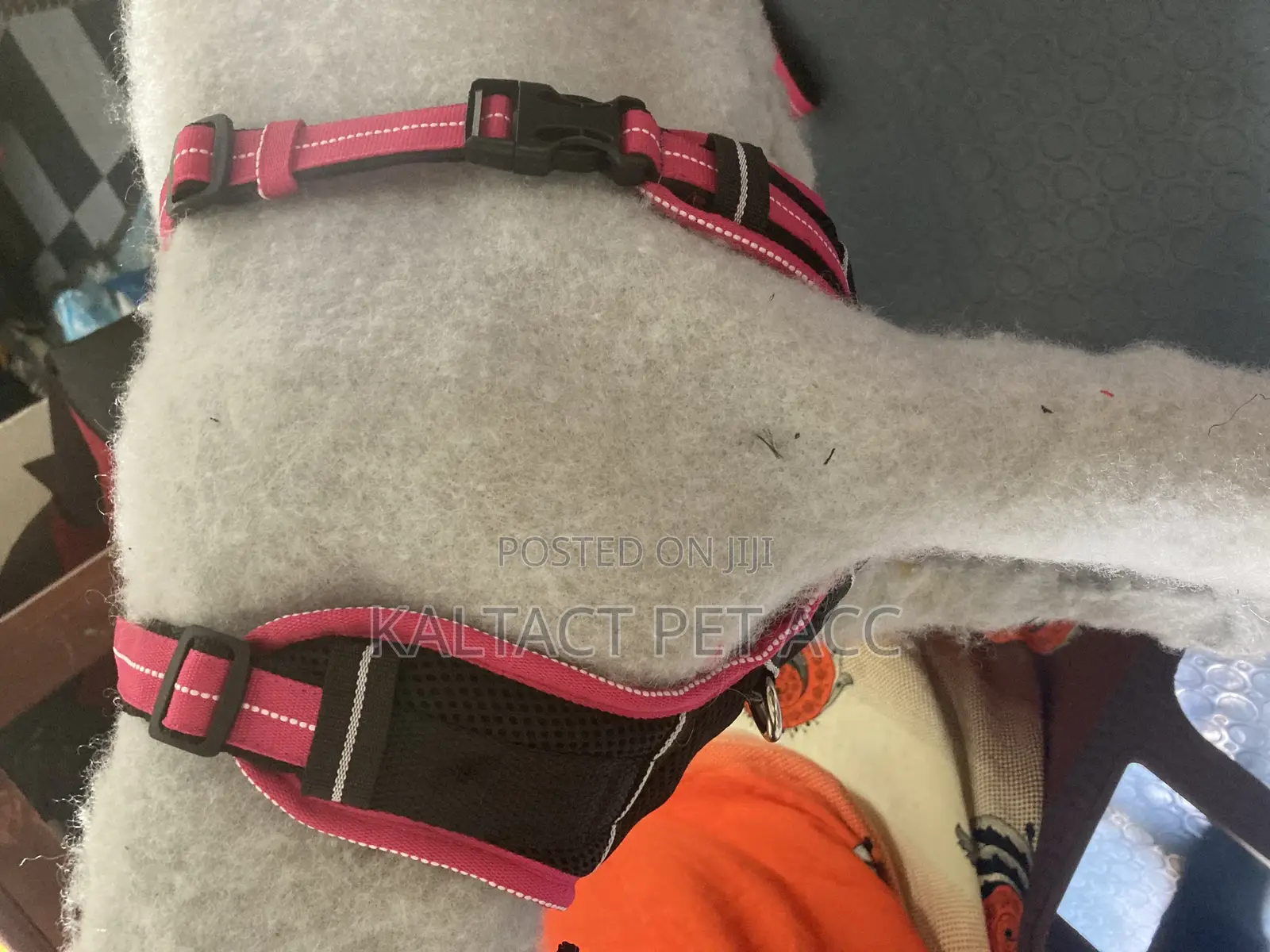 Non Pull Out Door Dog Harness