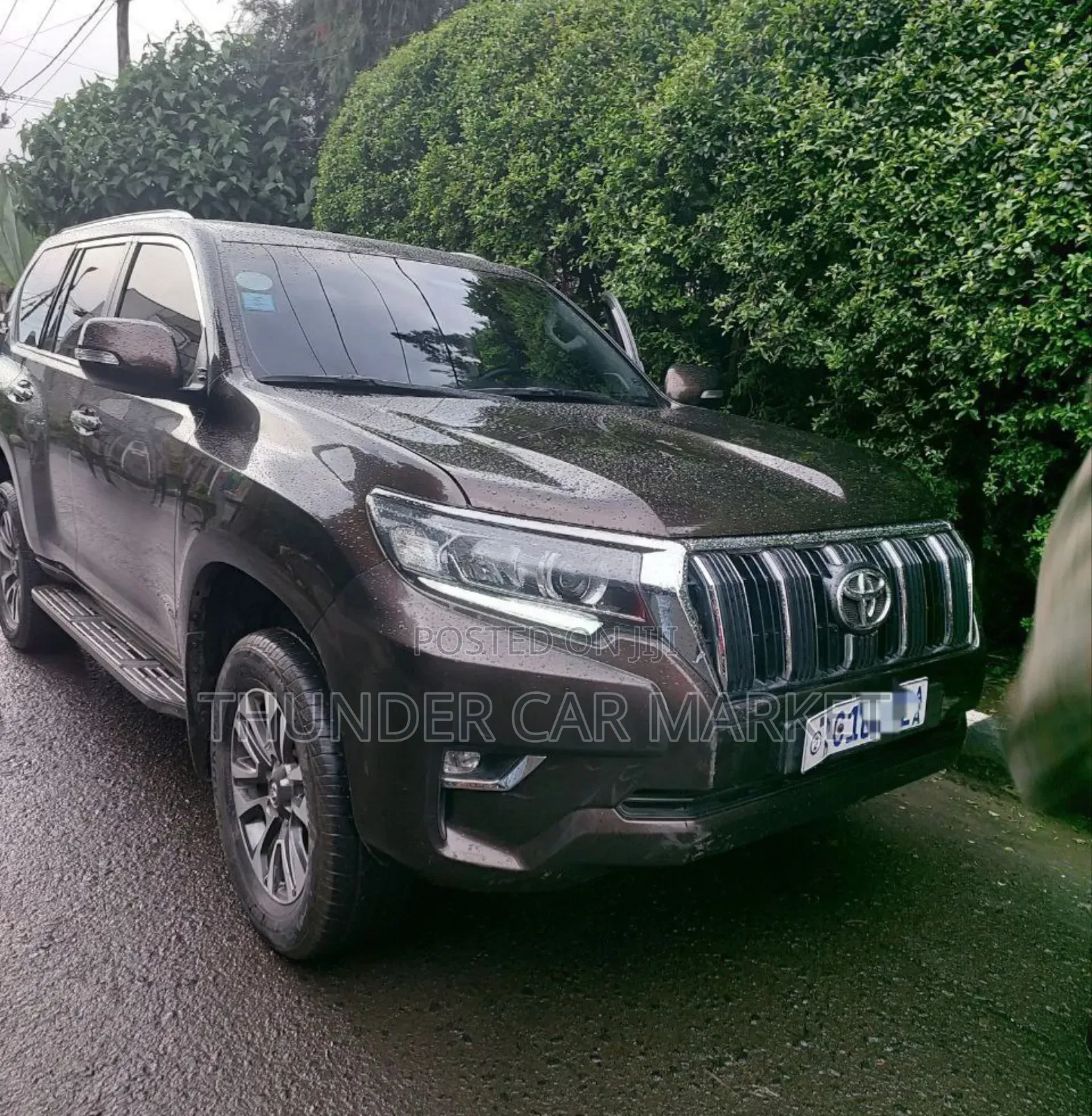 Toyota Land Cruiser 2020 gray